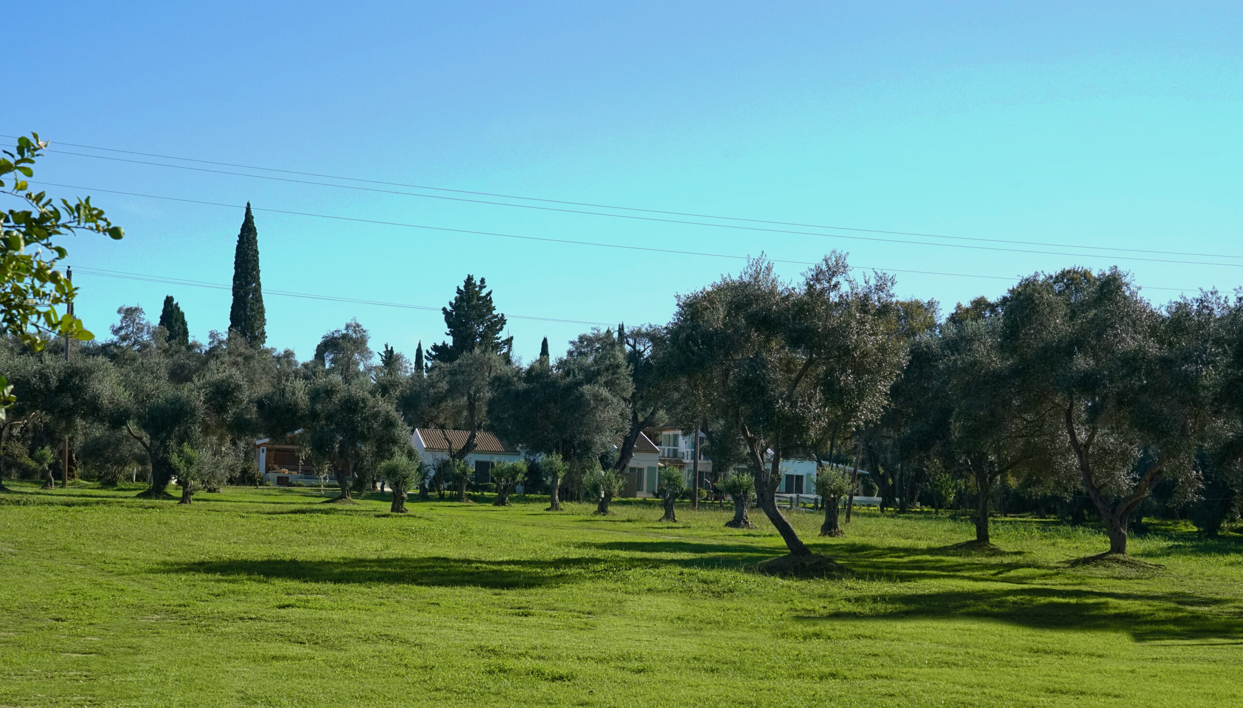 Villa Zenity image 12