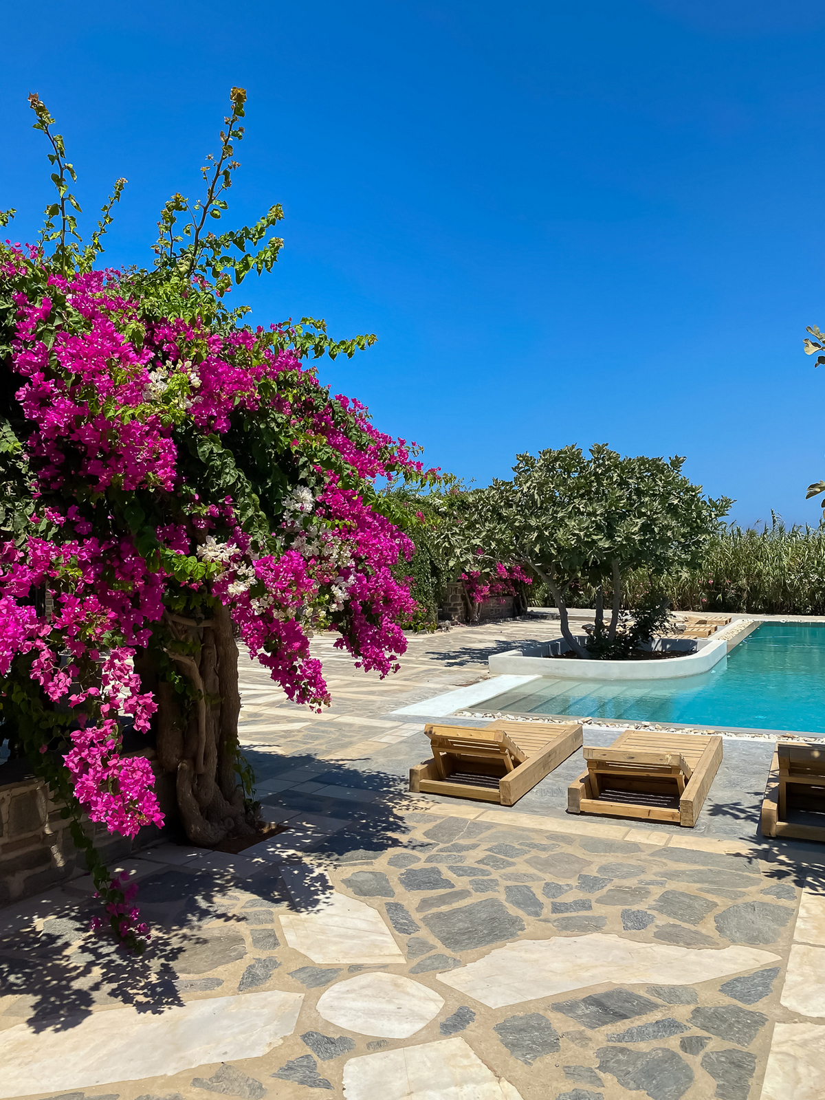 Villa Marilia image 21