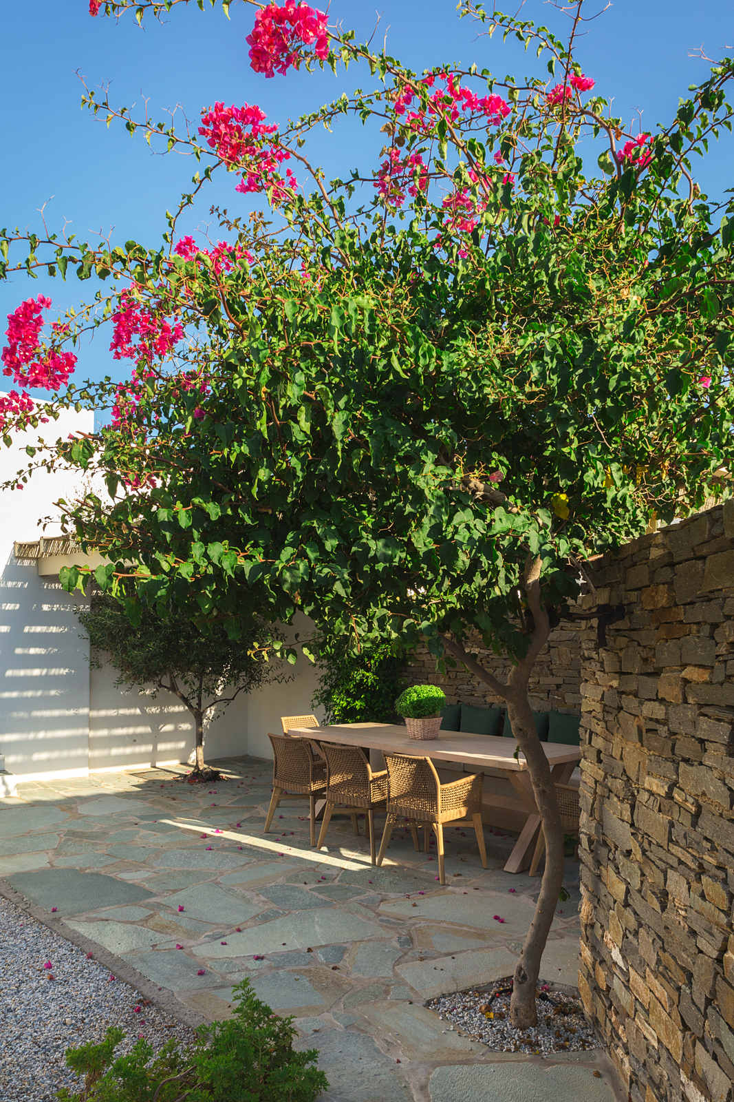Villa Anemone image 13
