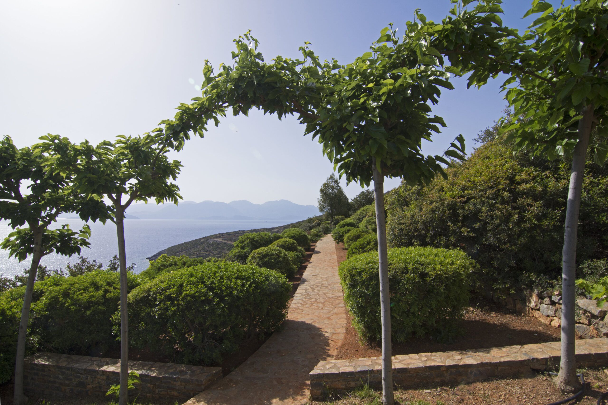 Amara Estate image 21