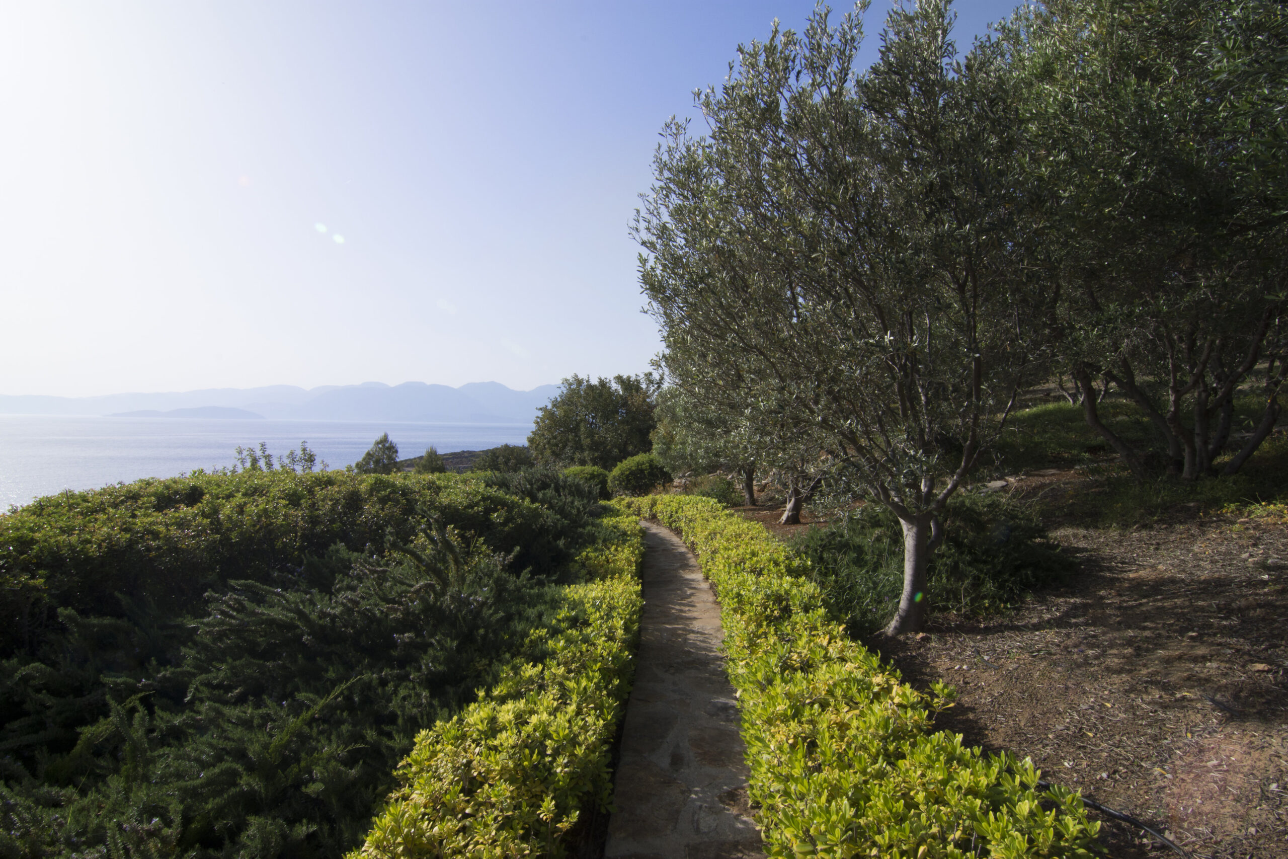 Amara Estate image 23