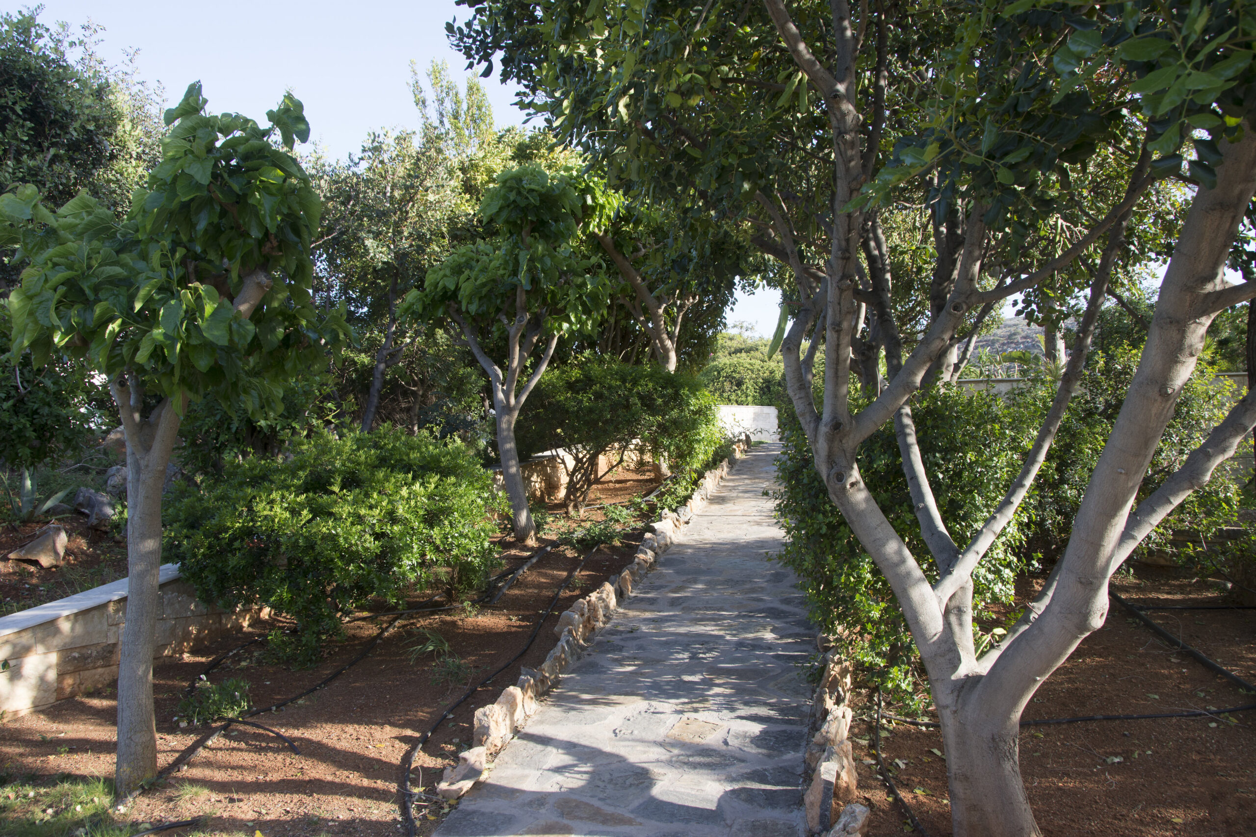 Amara Estate image 22