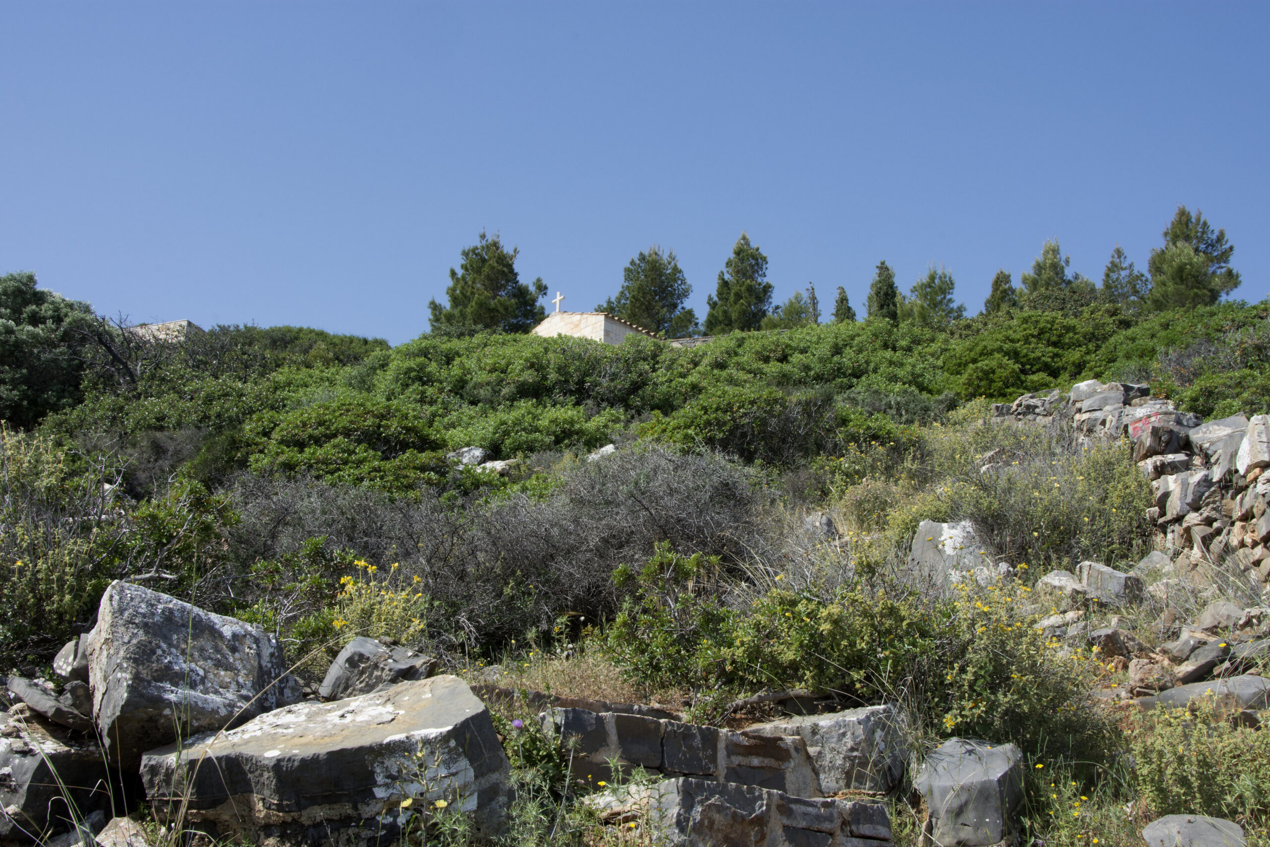 Amara Estate image 34