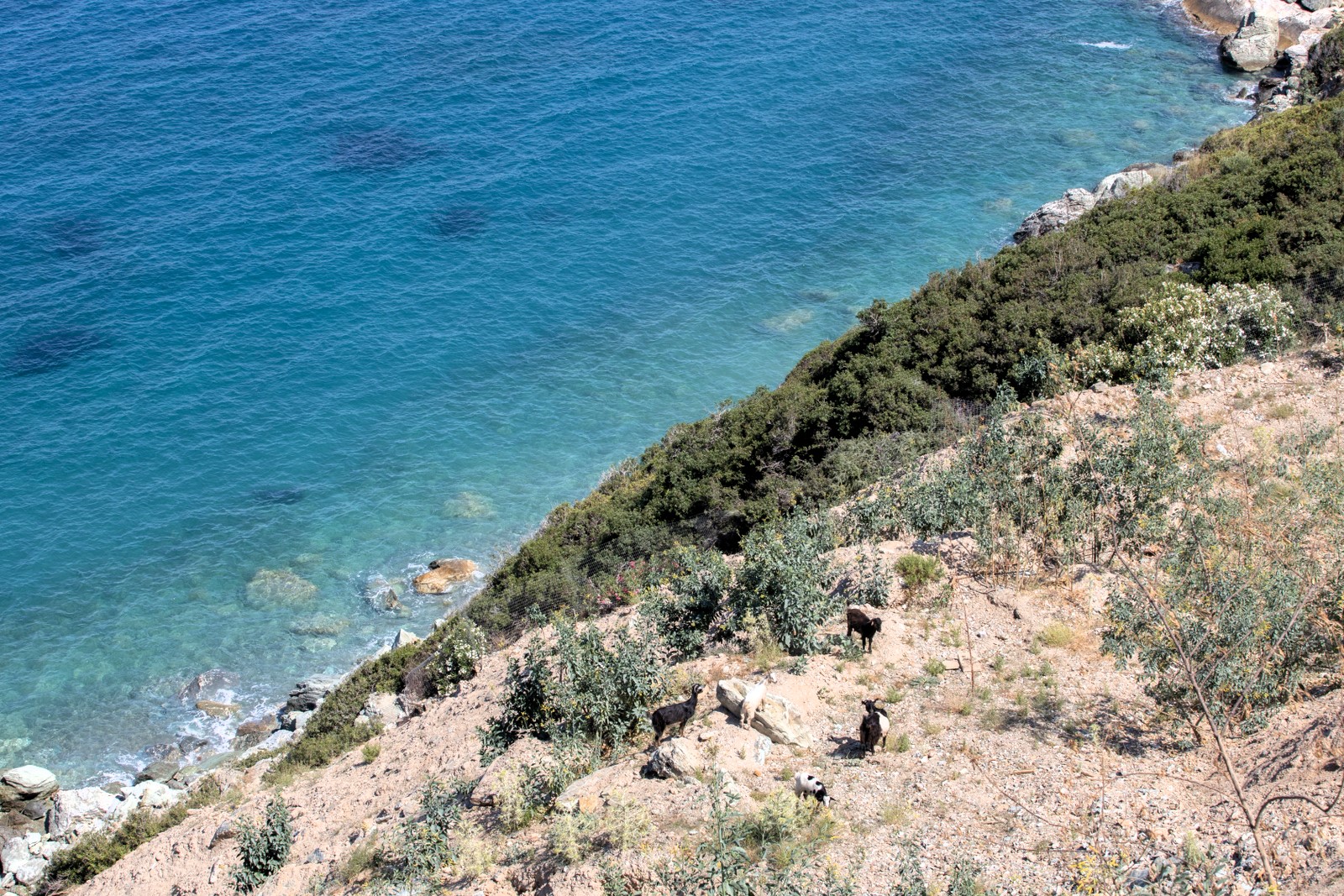 Villa Edna image 12