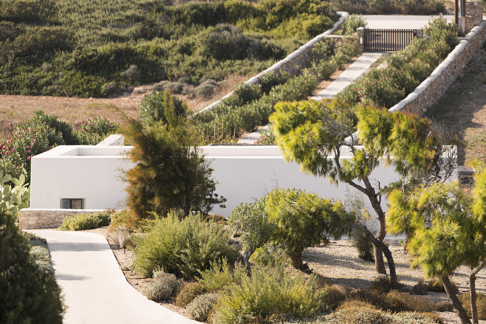 Villa Sirus image 70