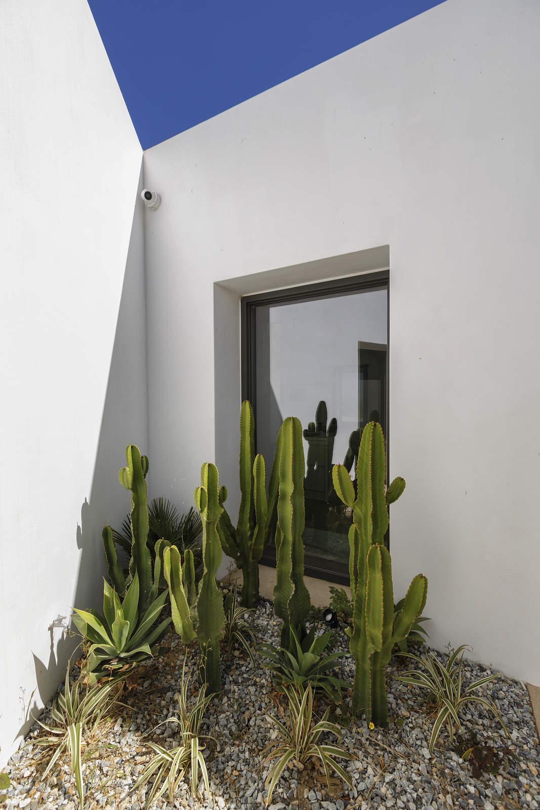 Villa Tosca image 25
