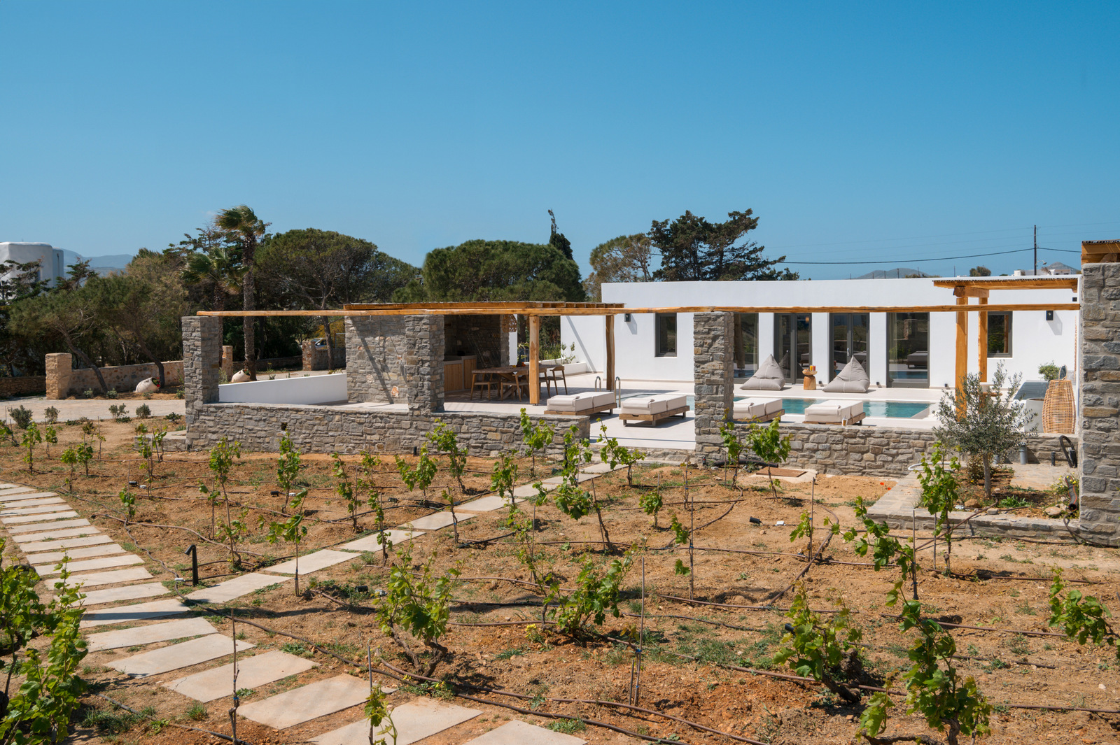 Villa Olena image 15