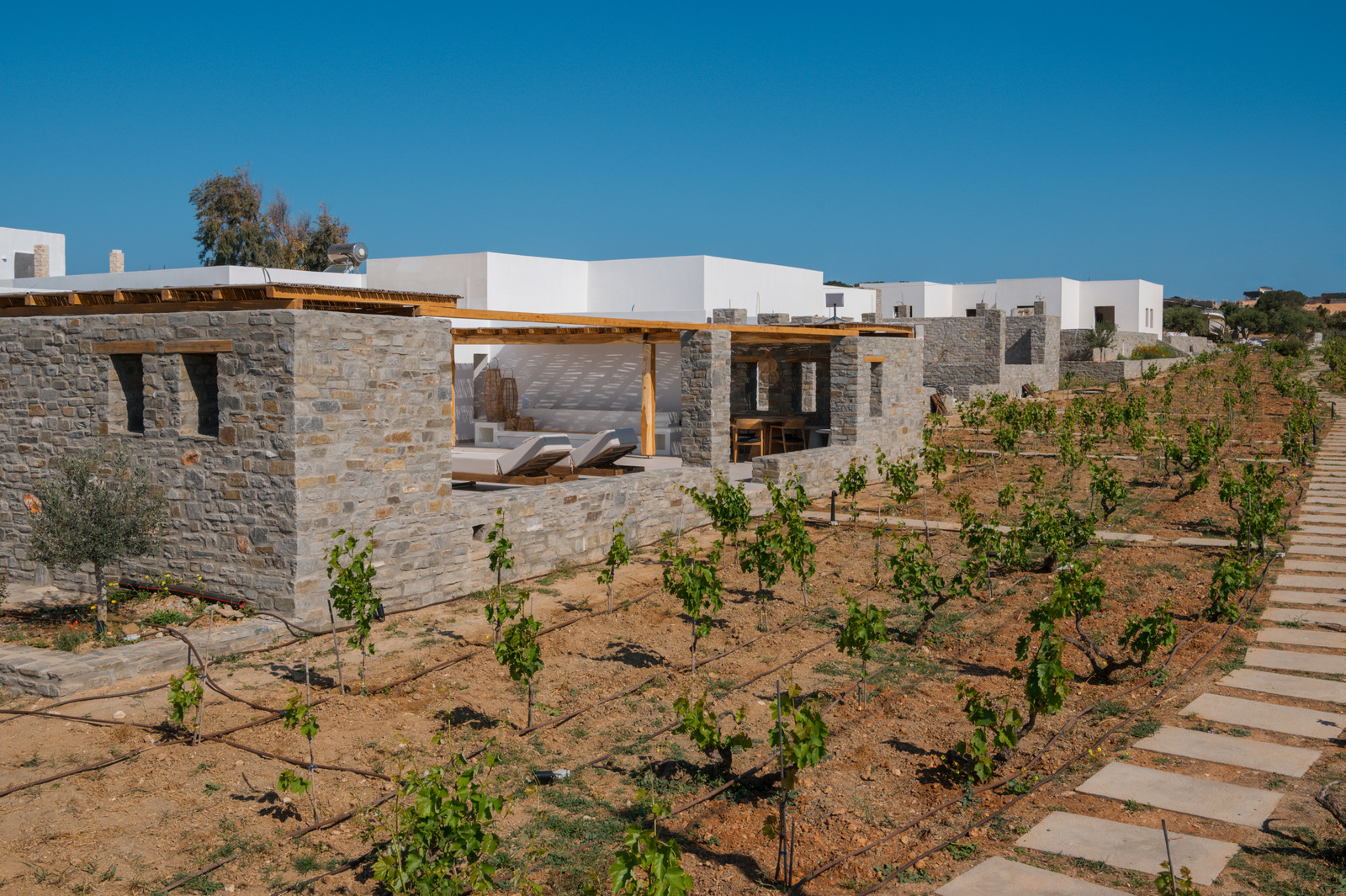 Villa Olena image 16