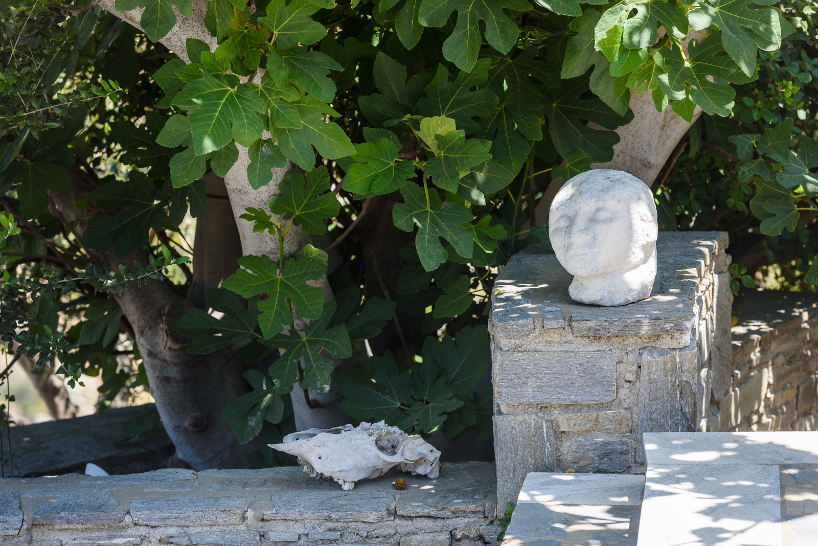 Villa Donoma image 24
