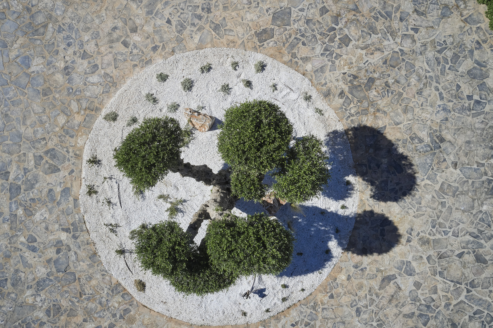 Villa Ozias image 12