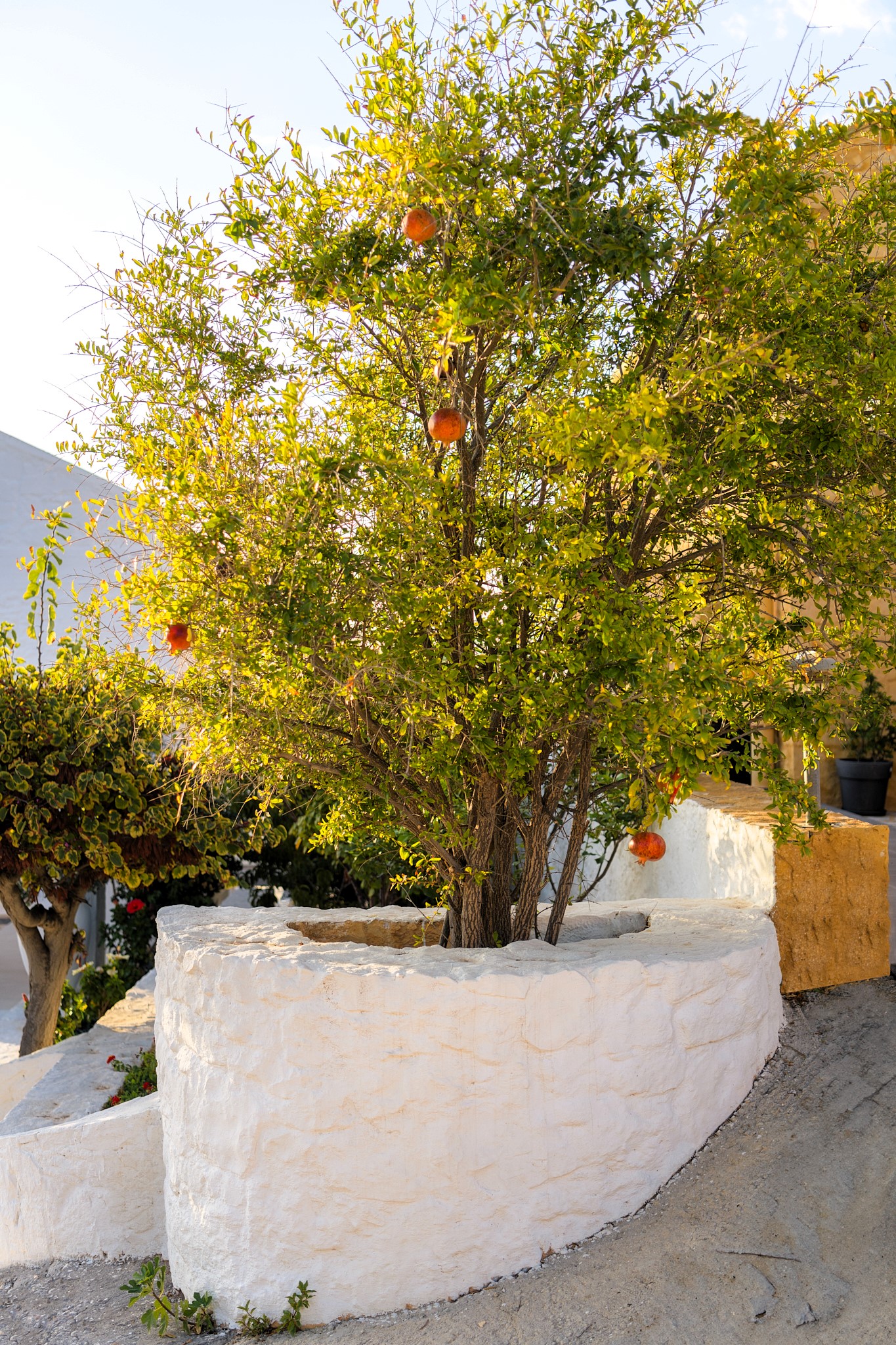 Villa Theano image 37