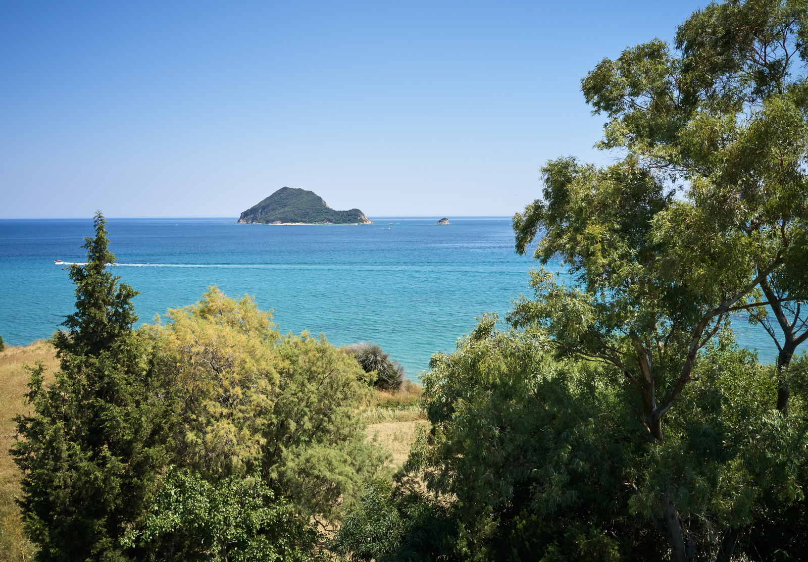 Villa Balena image 13