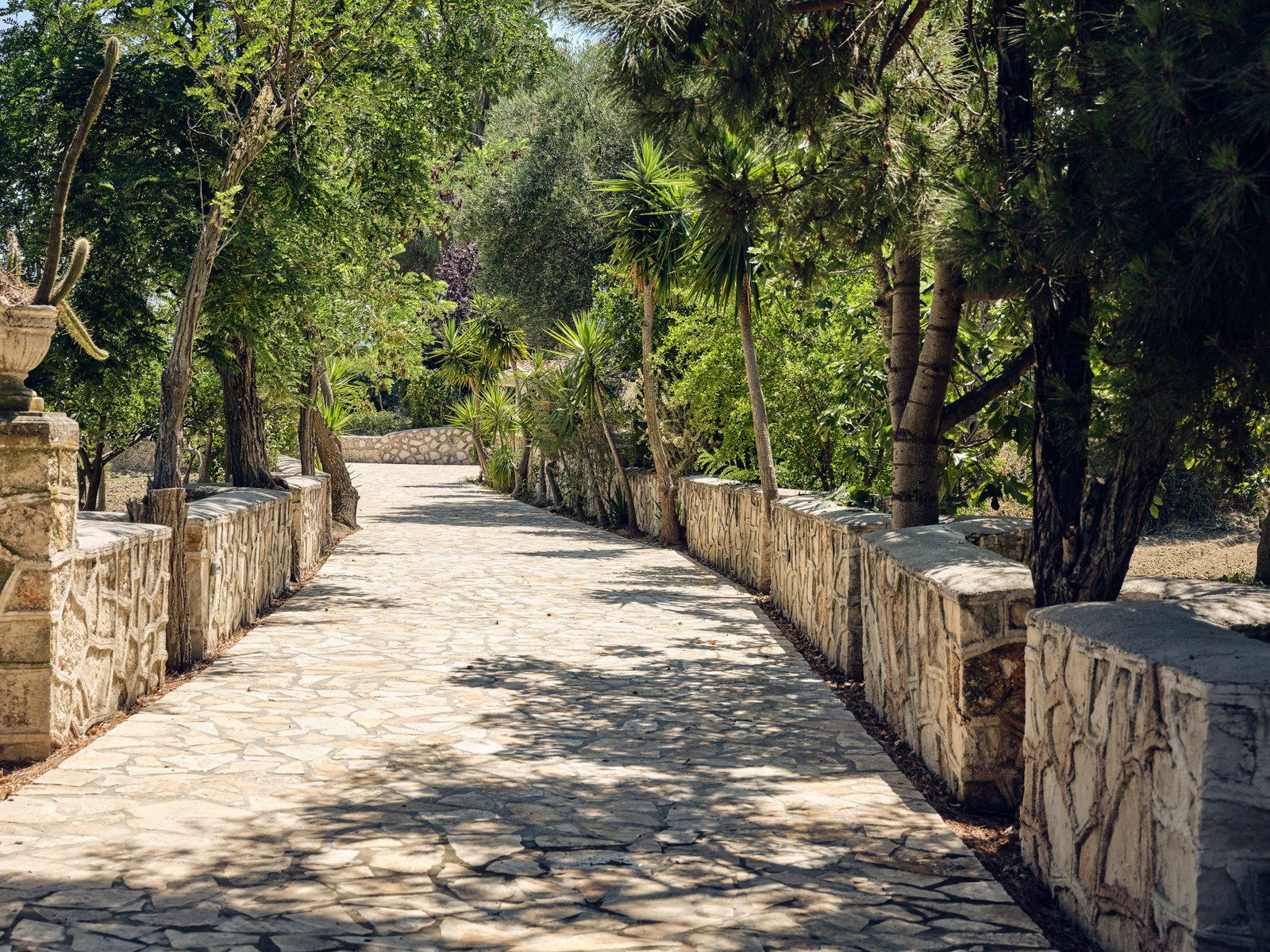 Villa Balena image 6