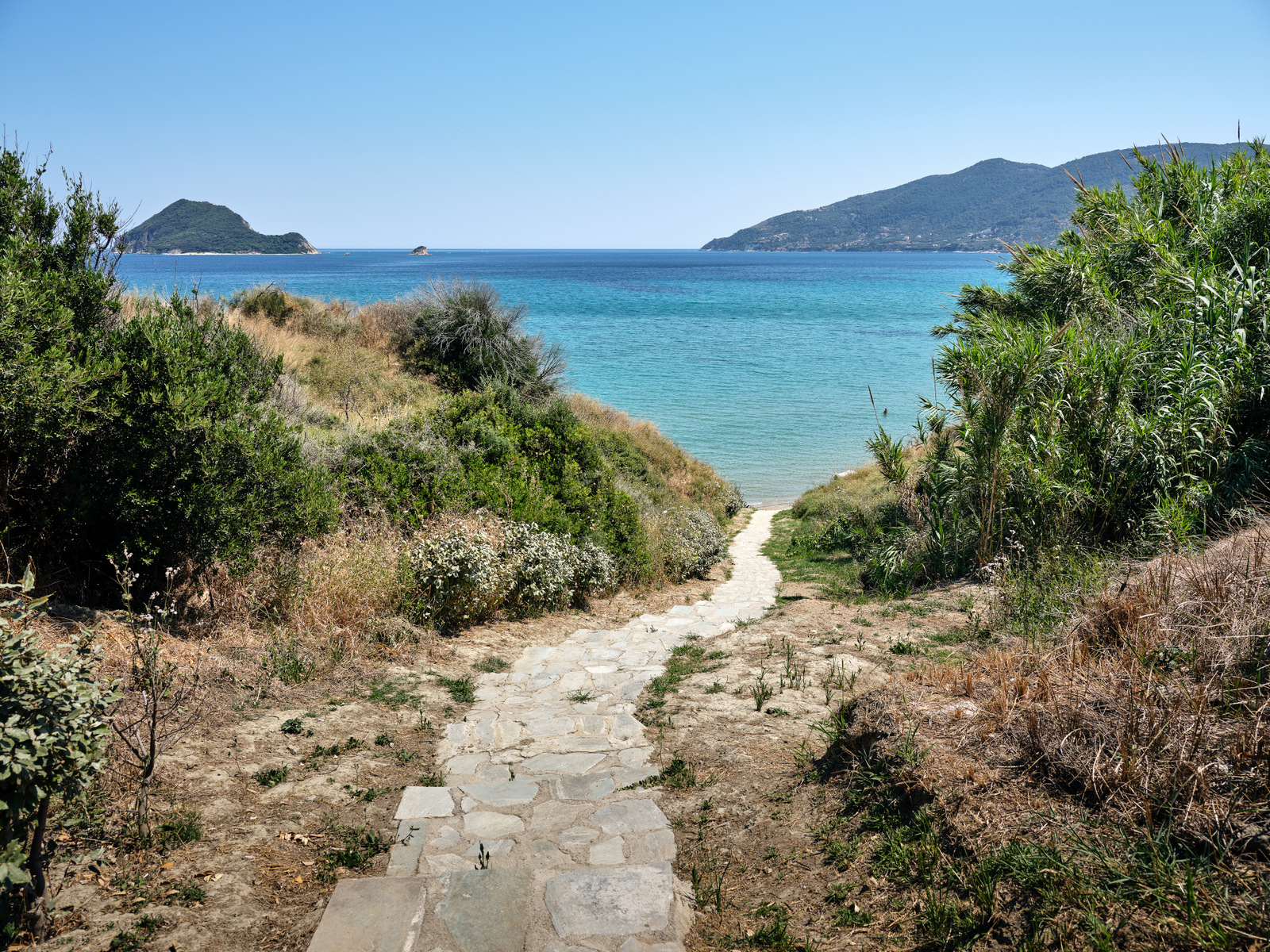 Villa Balena image 5