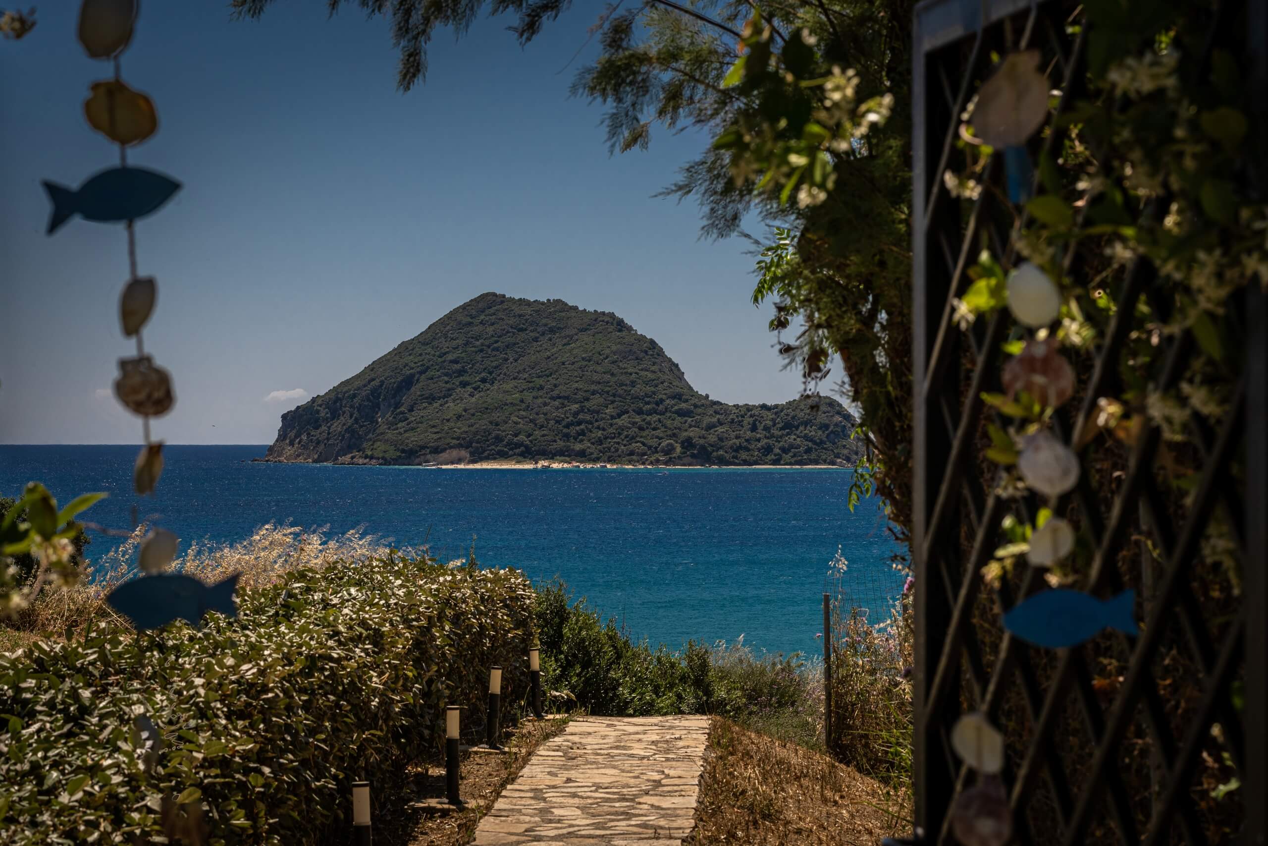 Villa Balena image 11