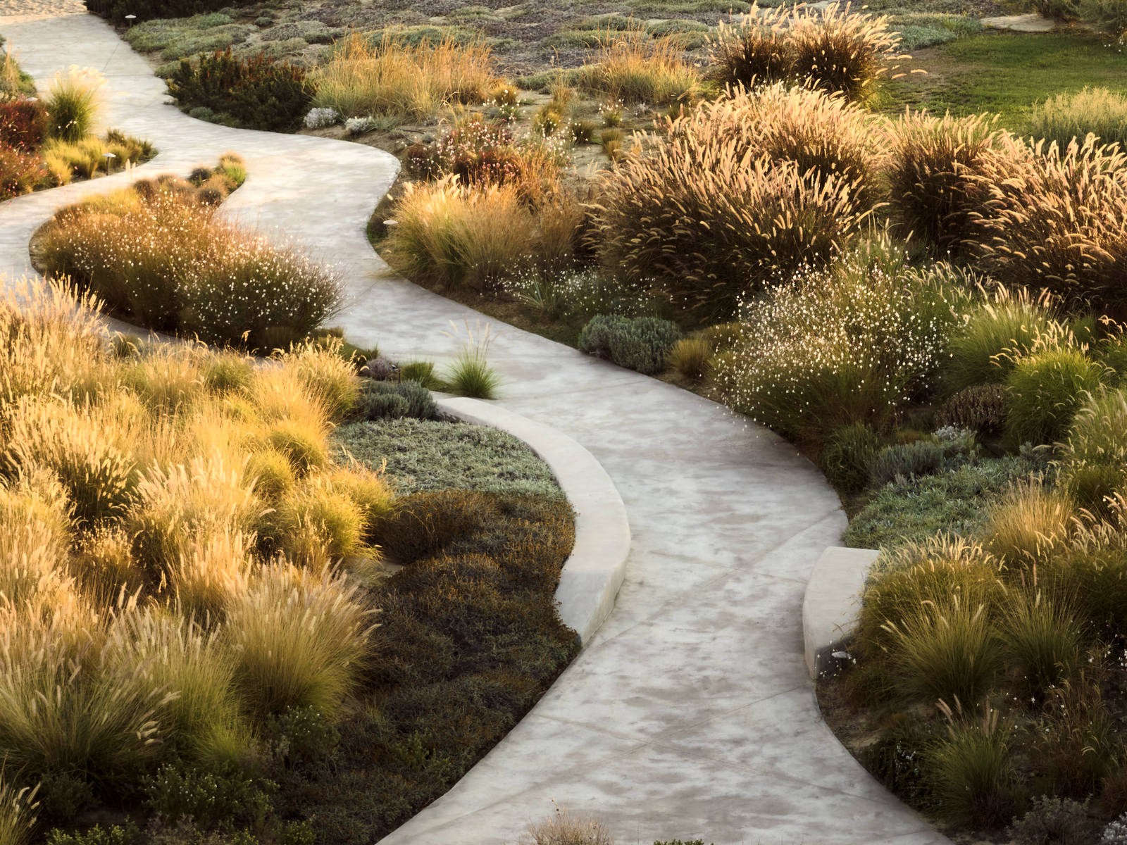 Villa Sun Flower image 13