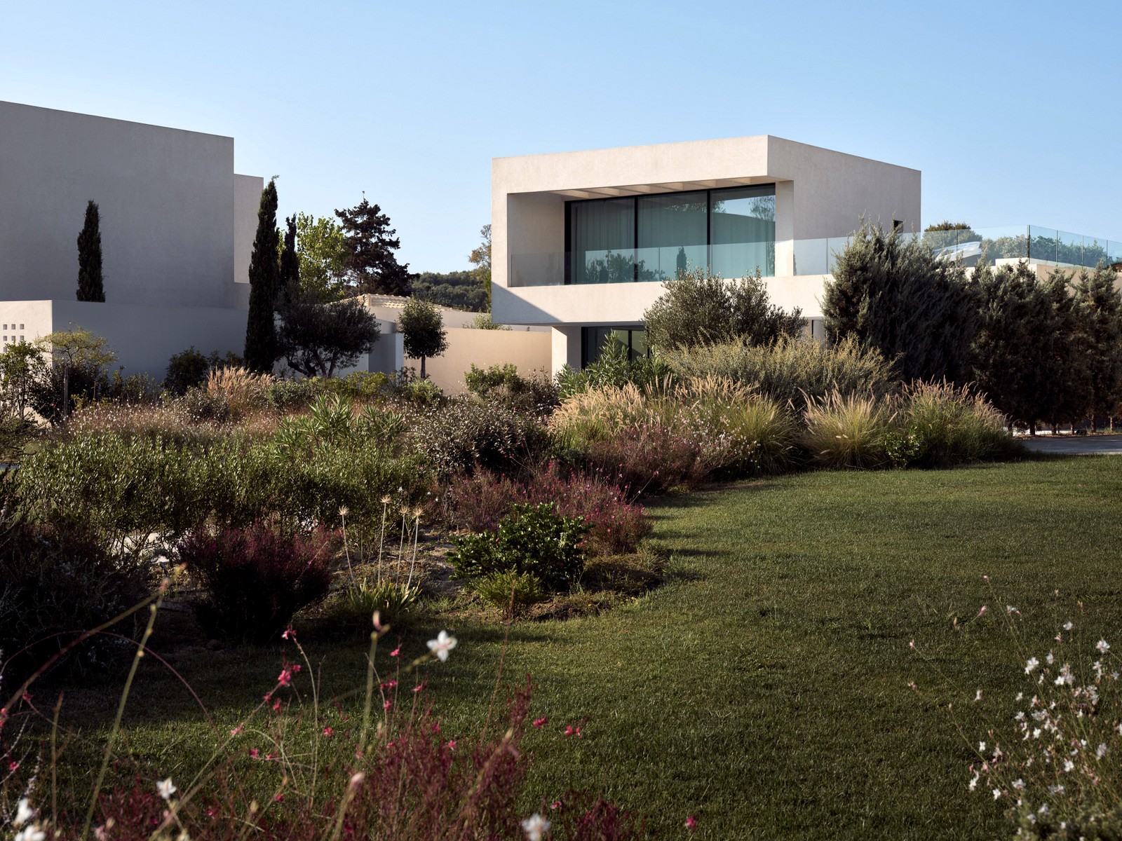 Lilypad Estate image 9