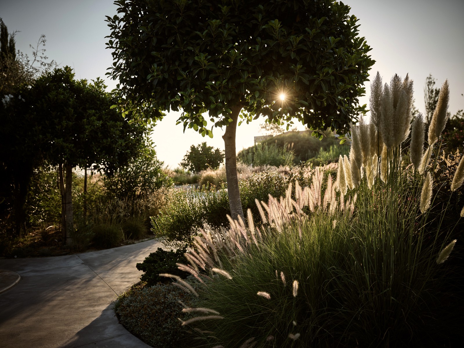 Villa Sun Flower image 19