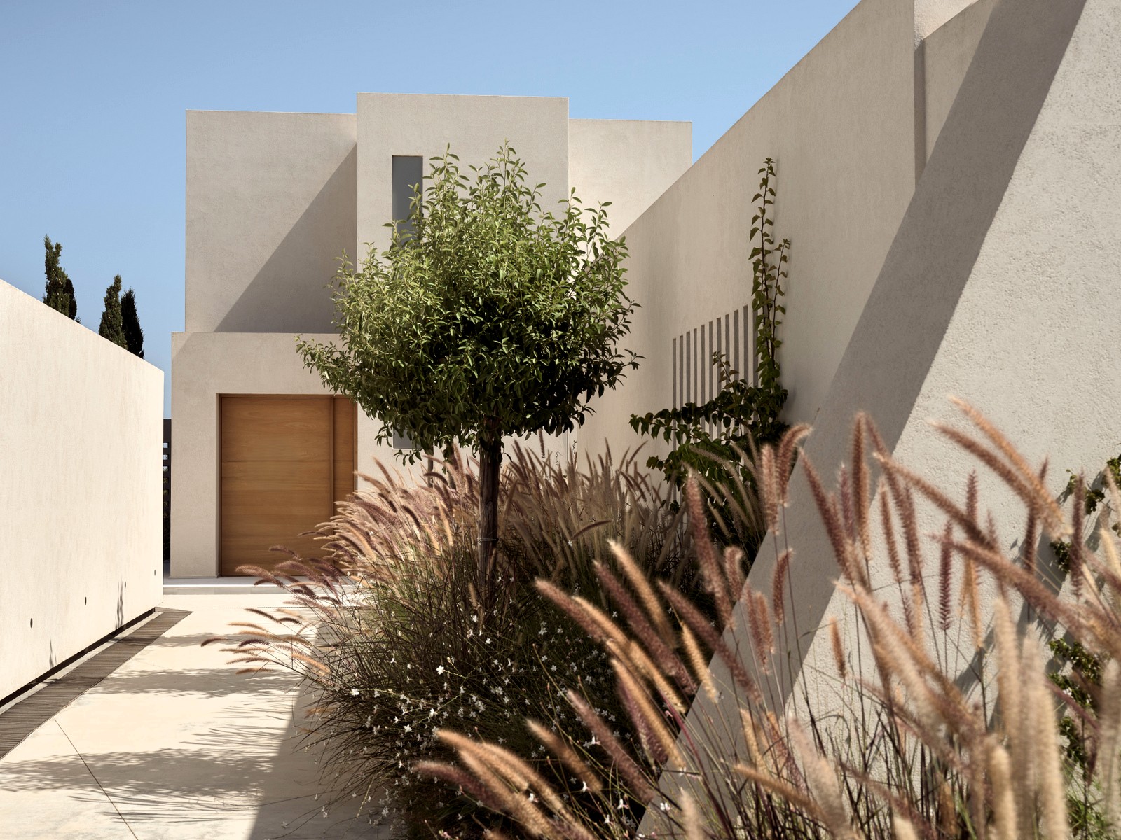 Lilypad Estate image 12