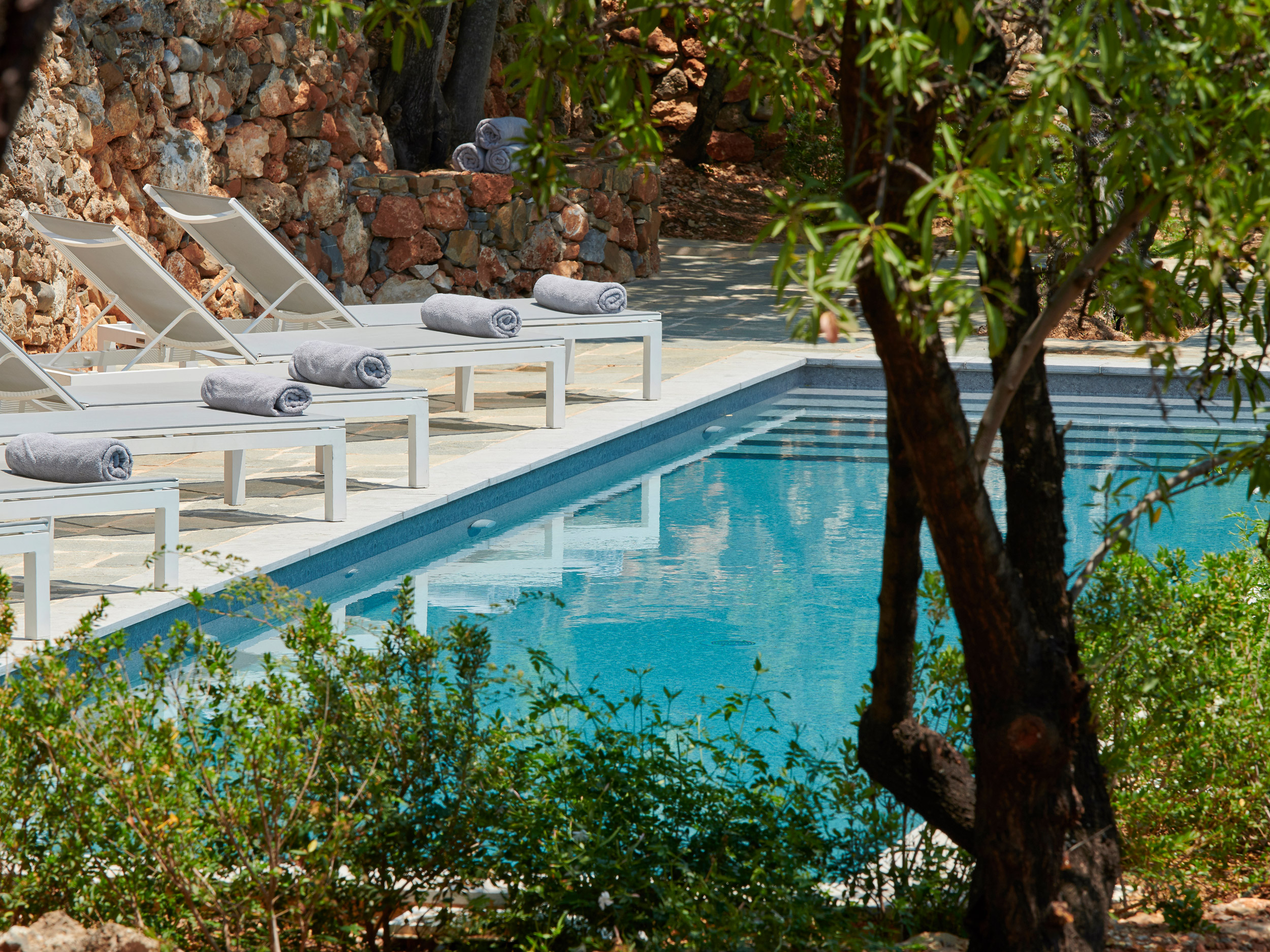 Liberale Estate image 8