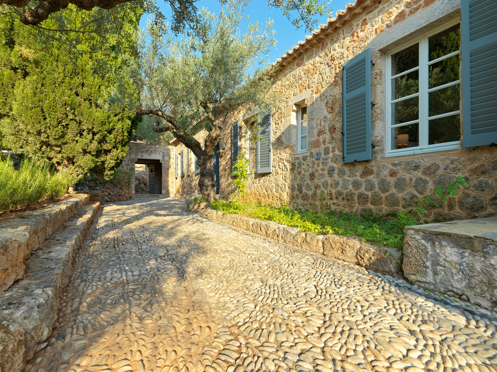 Liberale Estate image 15