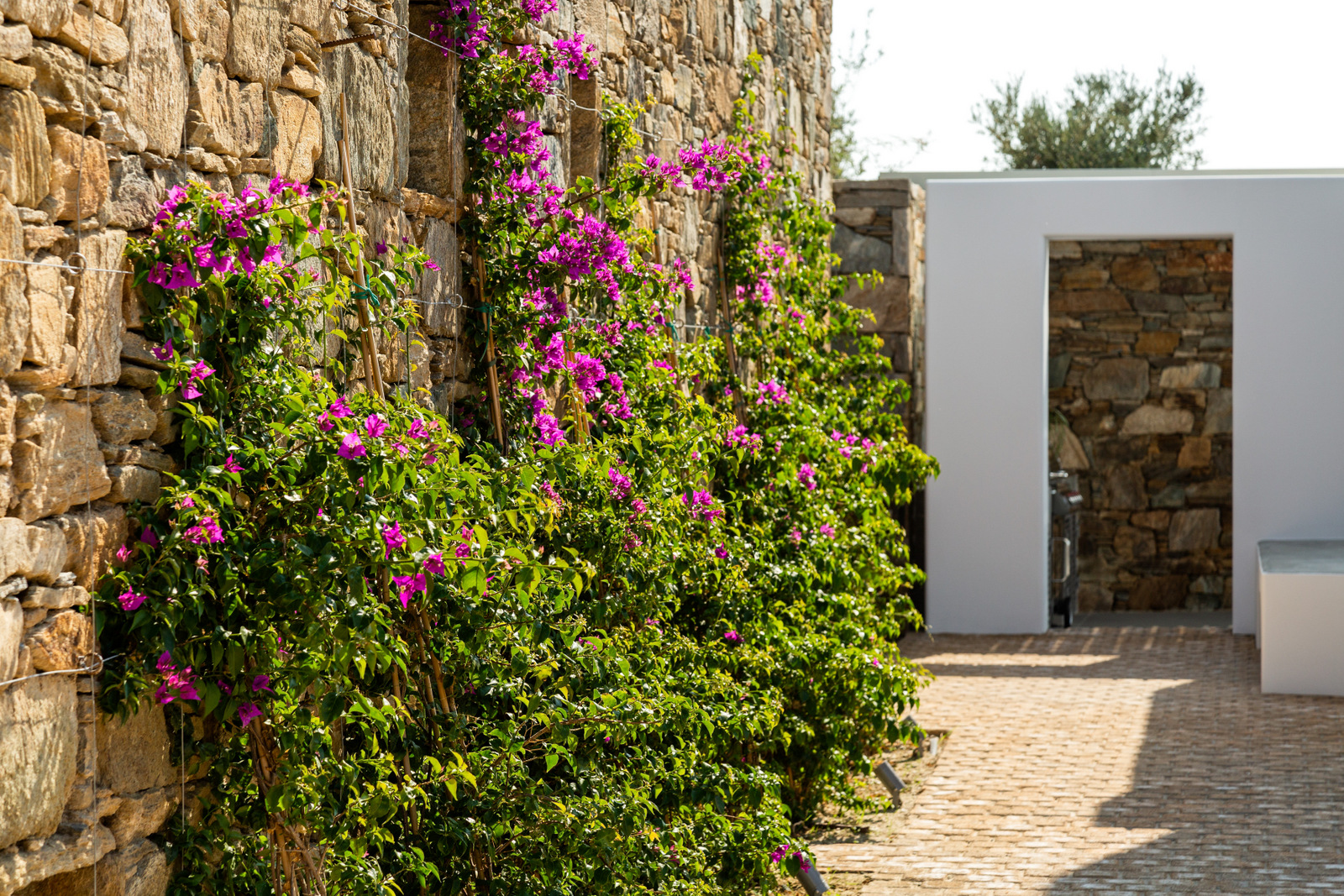 Villa Oleandra image 29