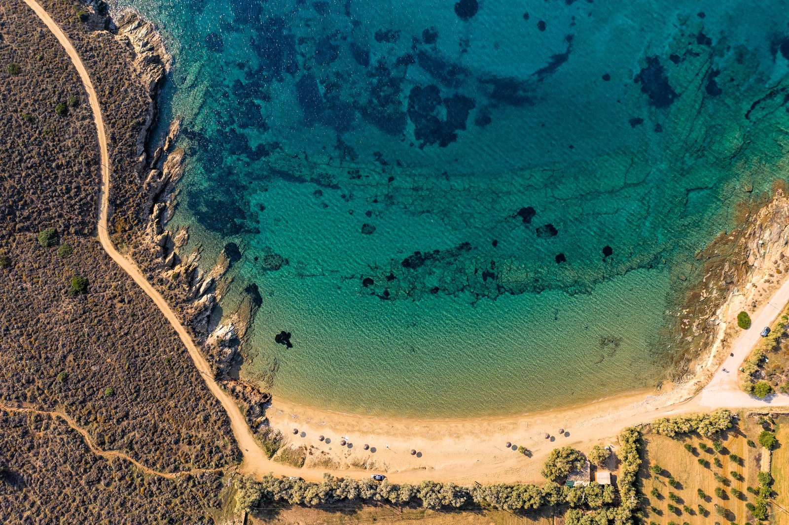 Oleandra Estate image 7