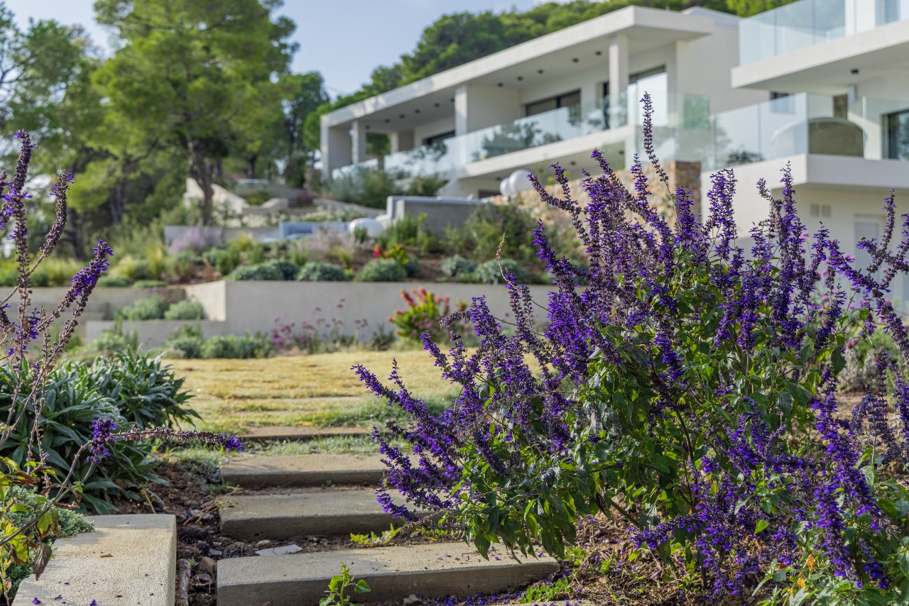 Villa Sagen image 9