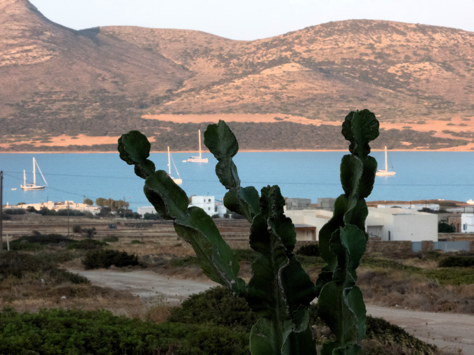 Villa Lysandra image 20