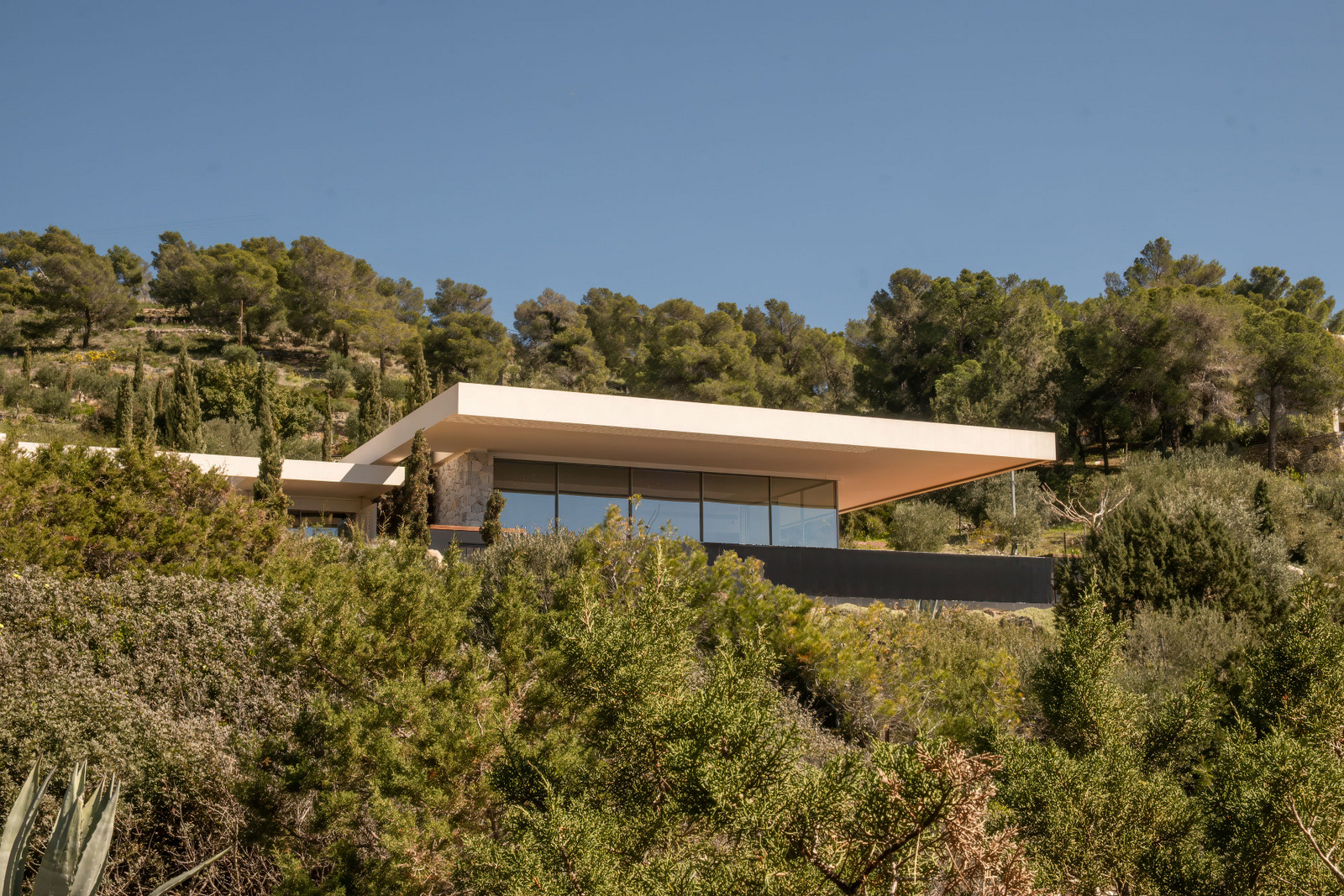 Villa Azurea image 22