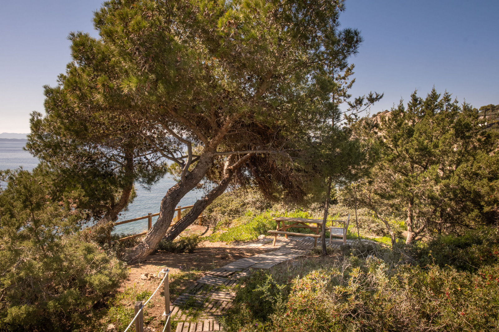 Villa Azurea image 23