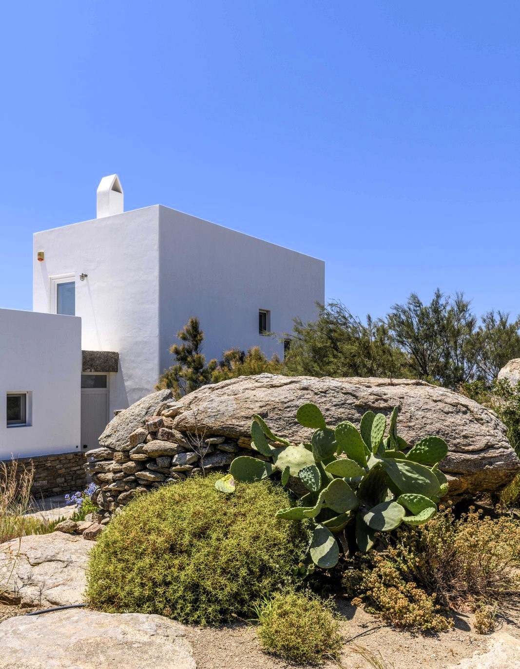 Villa Cactus image 4