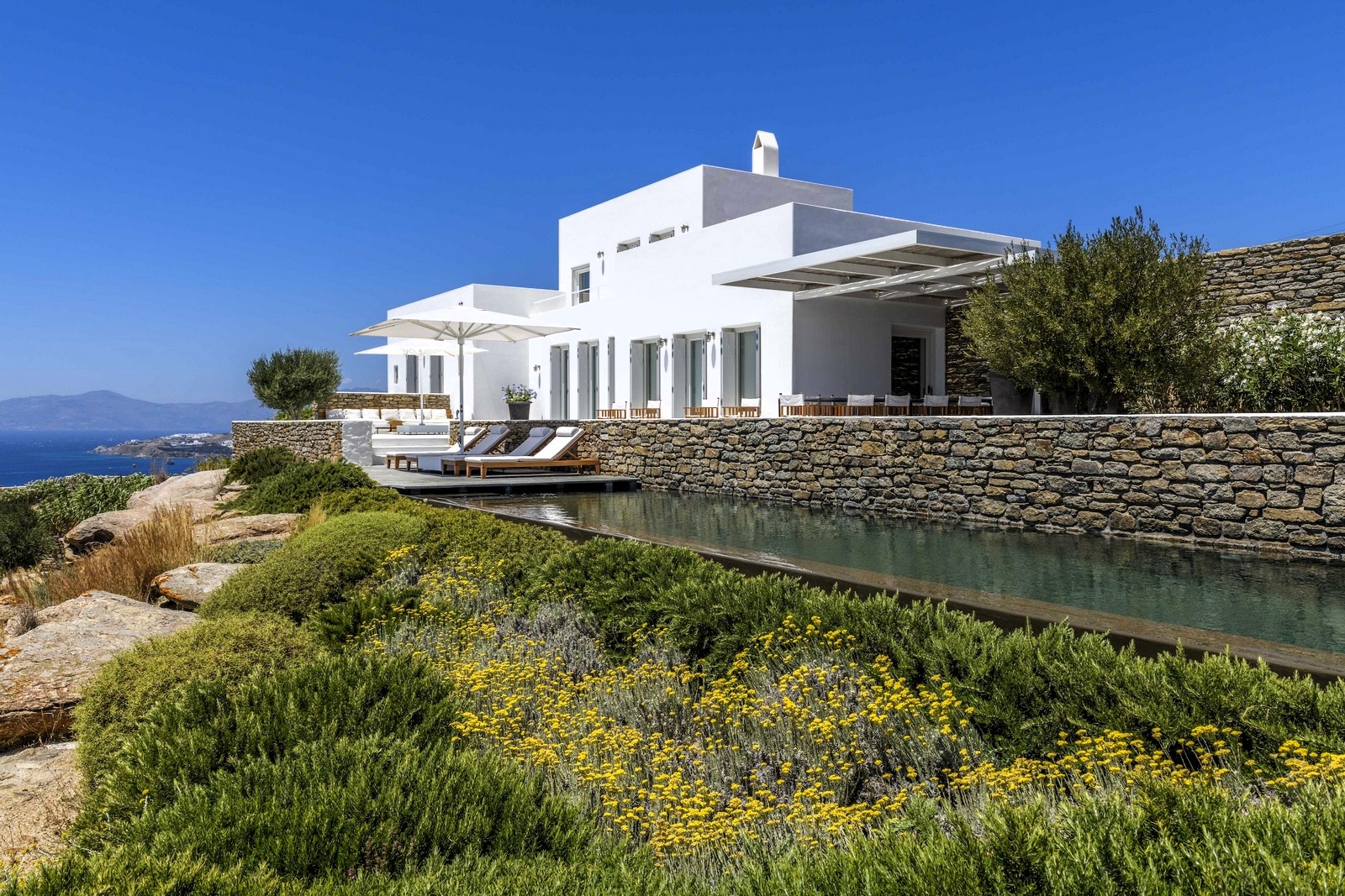 Villa Cactus image 5