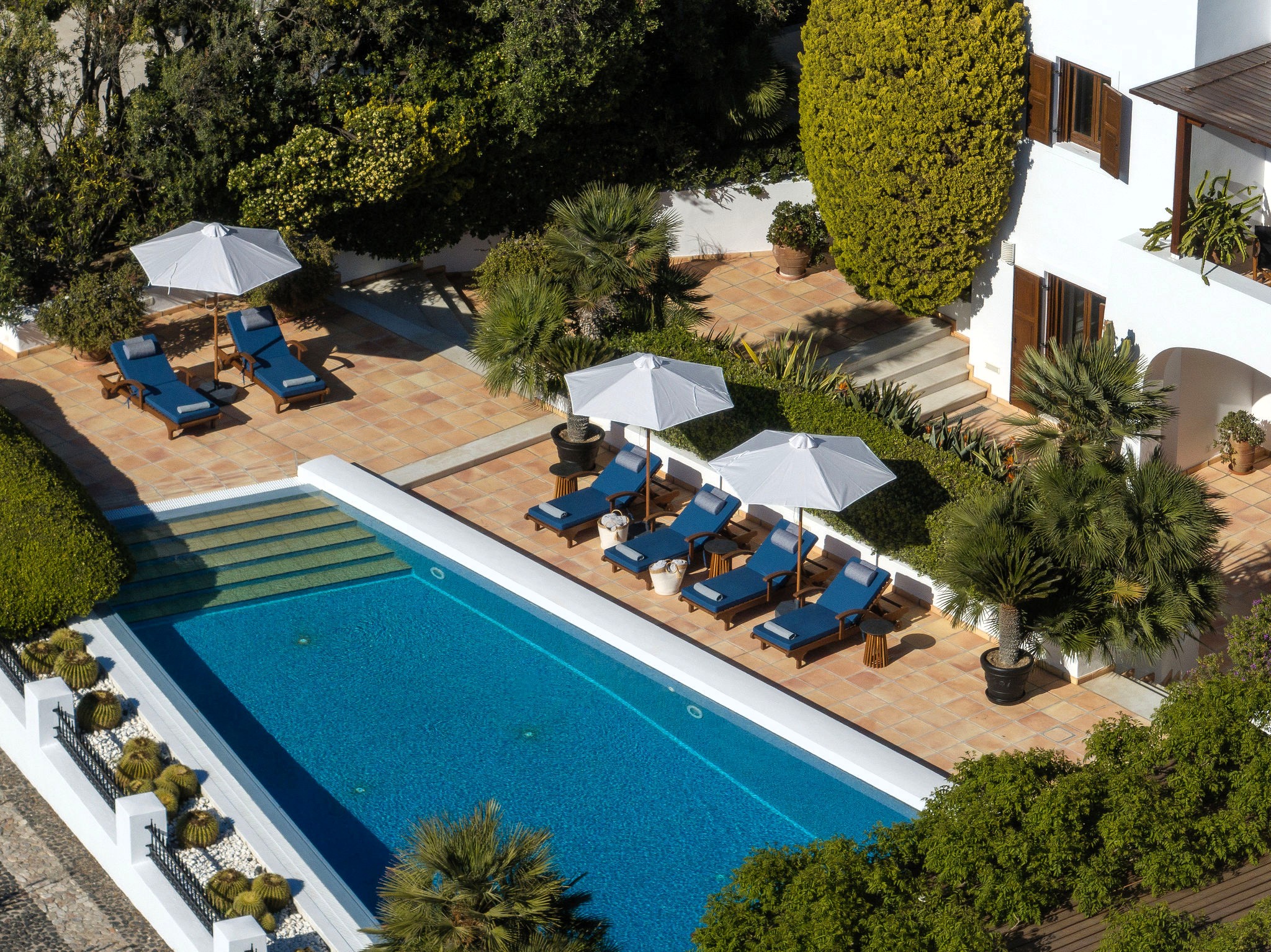 Villa Polymnia image 4