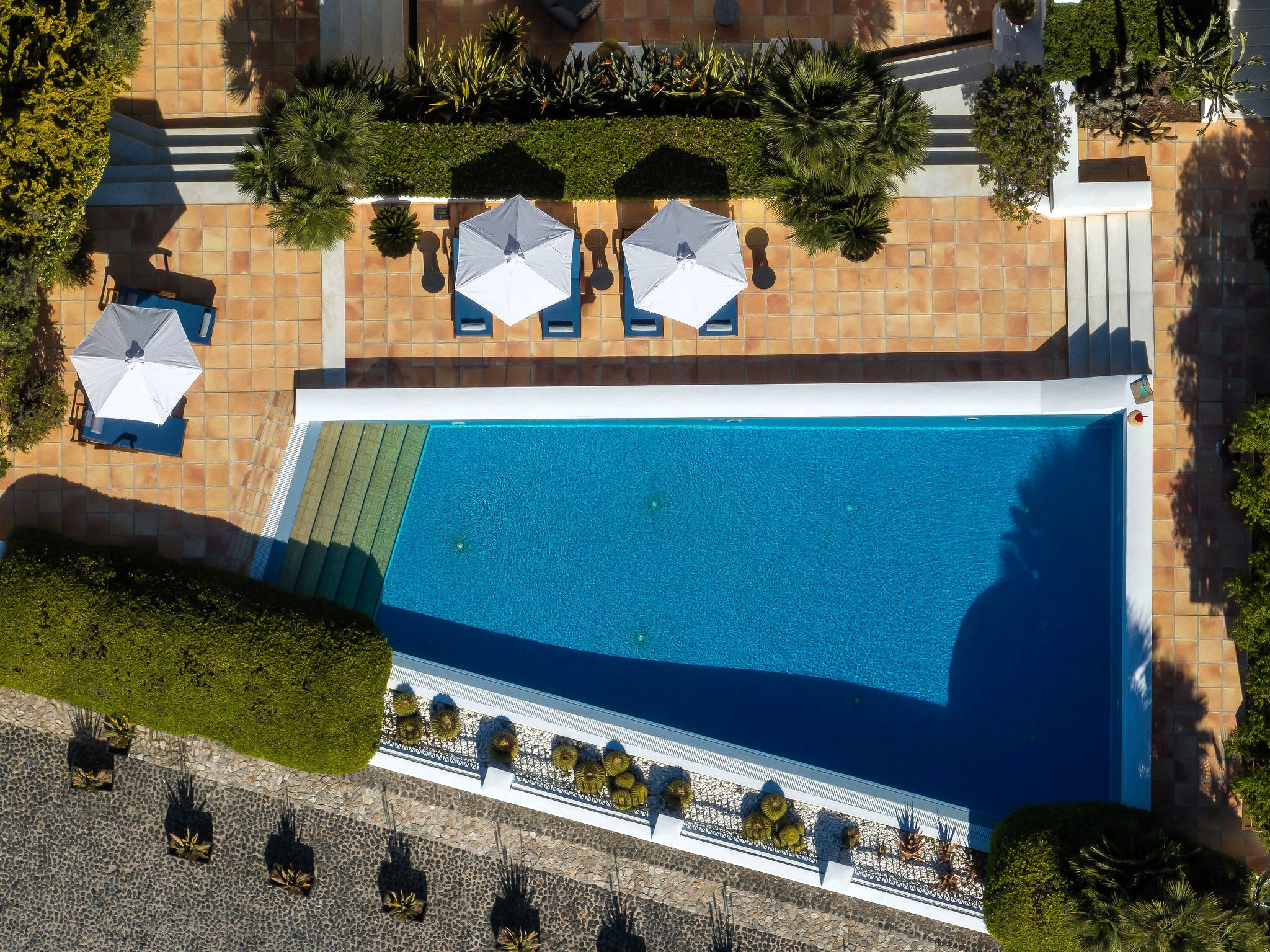 Villa Polymnia image 3