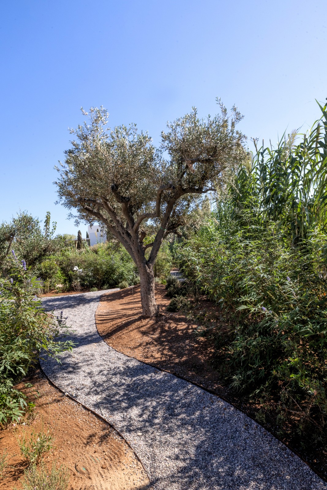 Villa Leia image 10