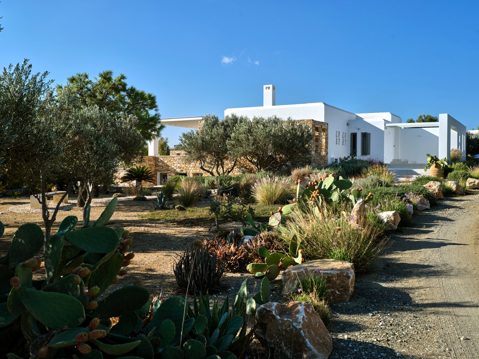 Villa Calyssia image 27