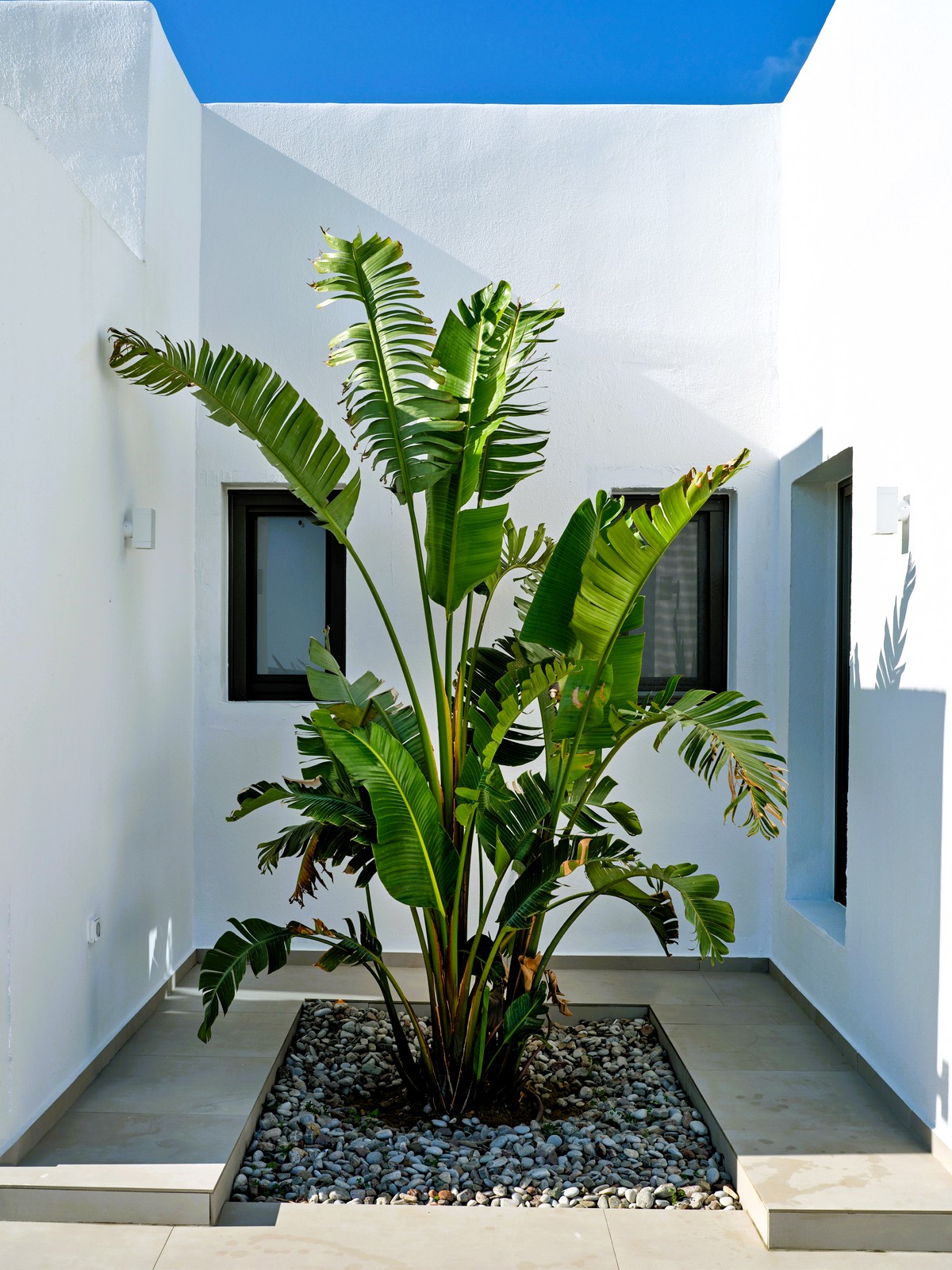 Villa Roxanne image 19