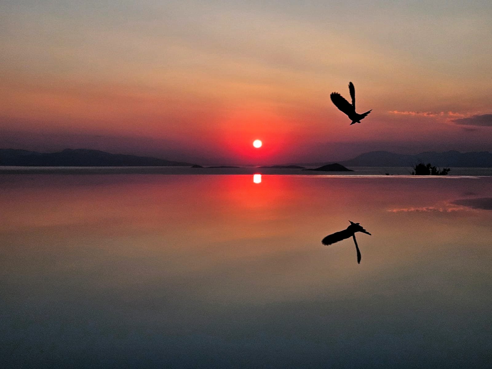 Villa Myrsini image 20