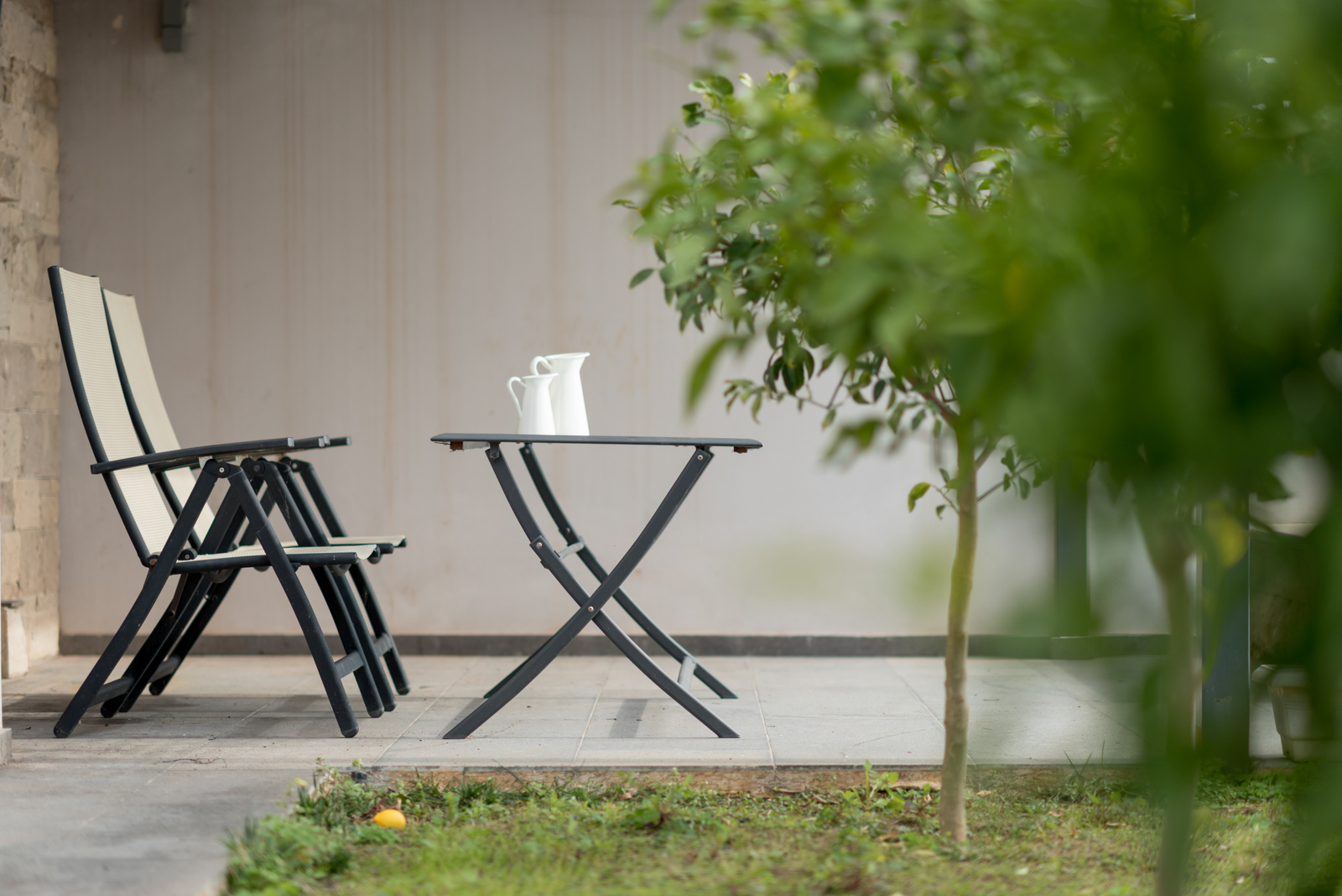 Alma Residence image 7