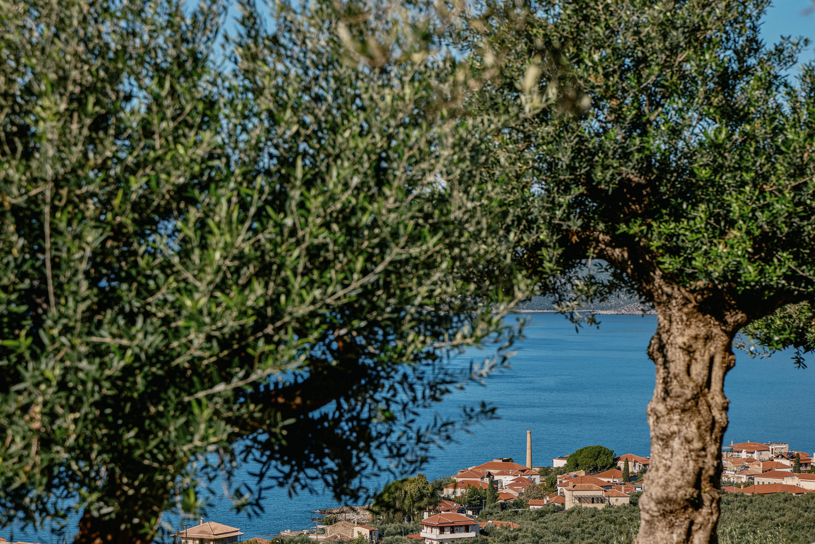 Villa Caspian image 21